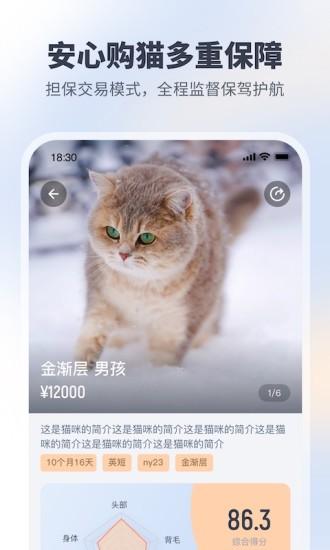 宠酱app下载,宠酱,宠物app,养猫app