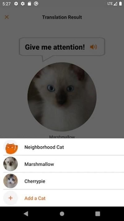 meowtalk喵说安卓下载,meowtalk,猫语翻译app