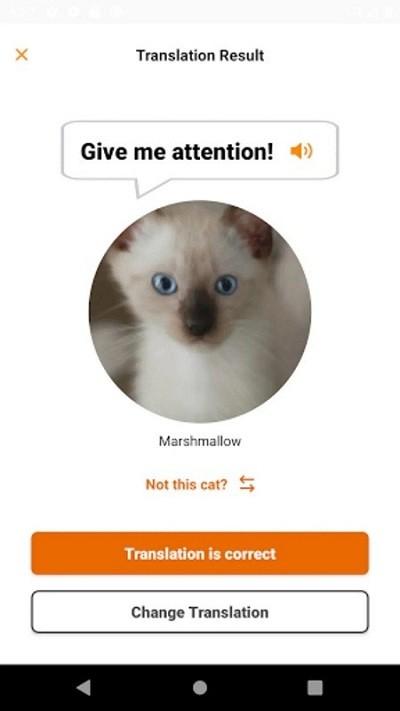 meowtalk喵说安卓下载,meowtalk,猫语翻译app